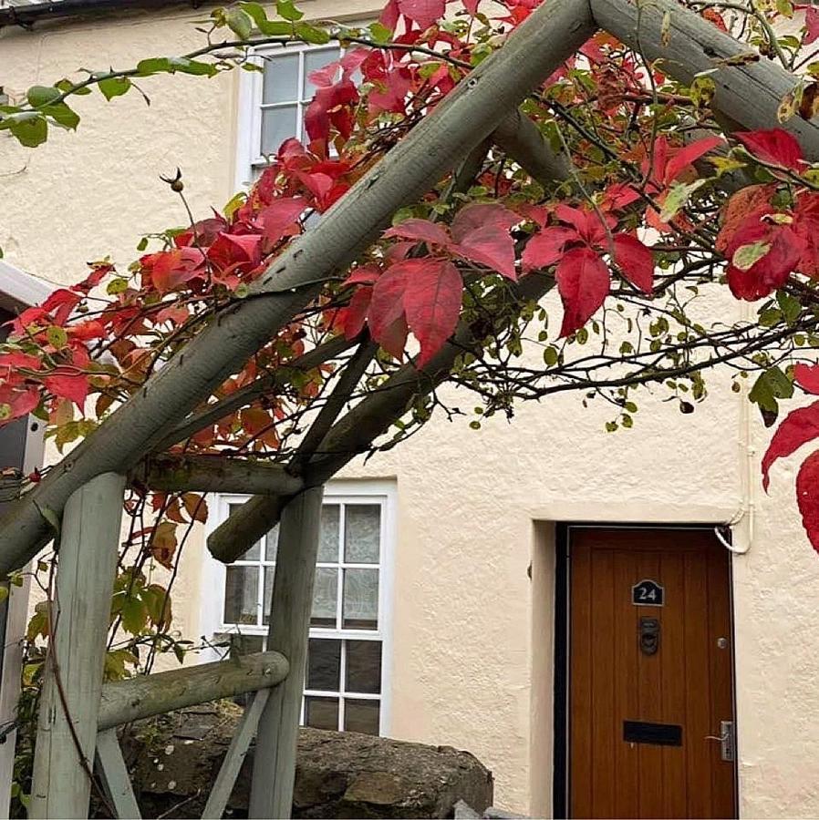 Lotte'S Cottage Bideford Exterior photo