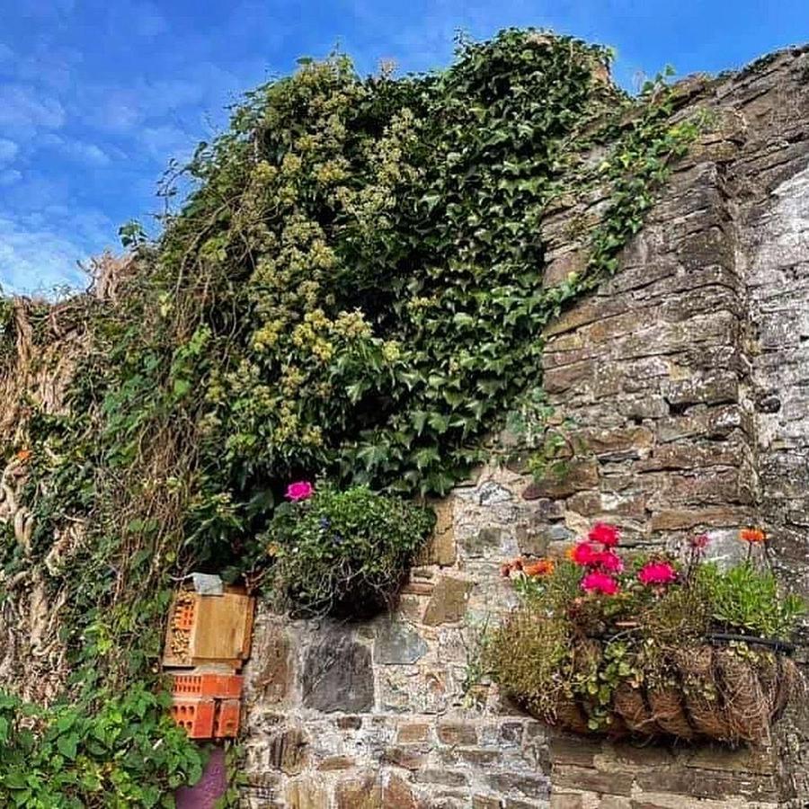 Lotte'S Cottage Bideford Exterior photo